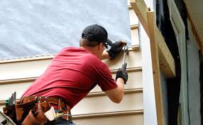 Best Siding Painting and Refinishing  in Difficult Run, VA